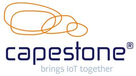 Capestone Logo